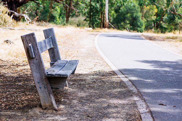 Tehnici de reabilitare ecologică a drumurilor vechi
